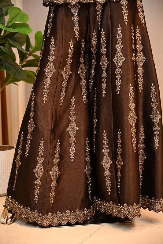 Dark Chocolate Brown Zari Embellished Corset Set