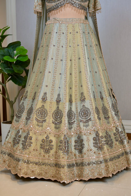 Shimmer Tissue Hand-Embroidered Lehenga Set