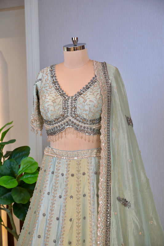 Shimmer Tissue Hand-Embroidered Lehenga Set