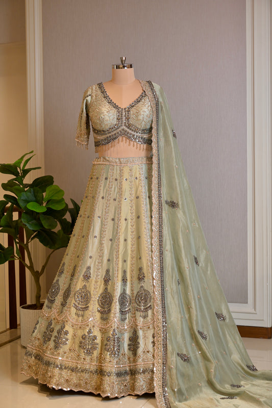 Shimmer Tissue Hand-Embroidered Lehenga Set