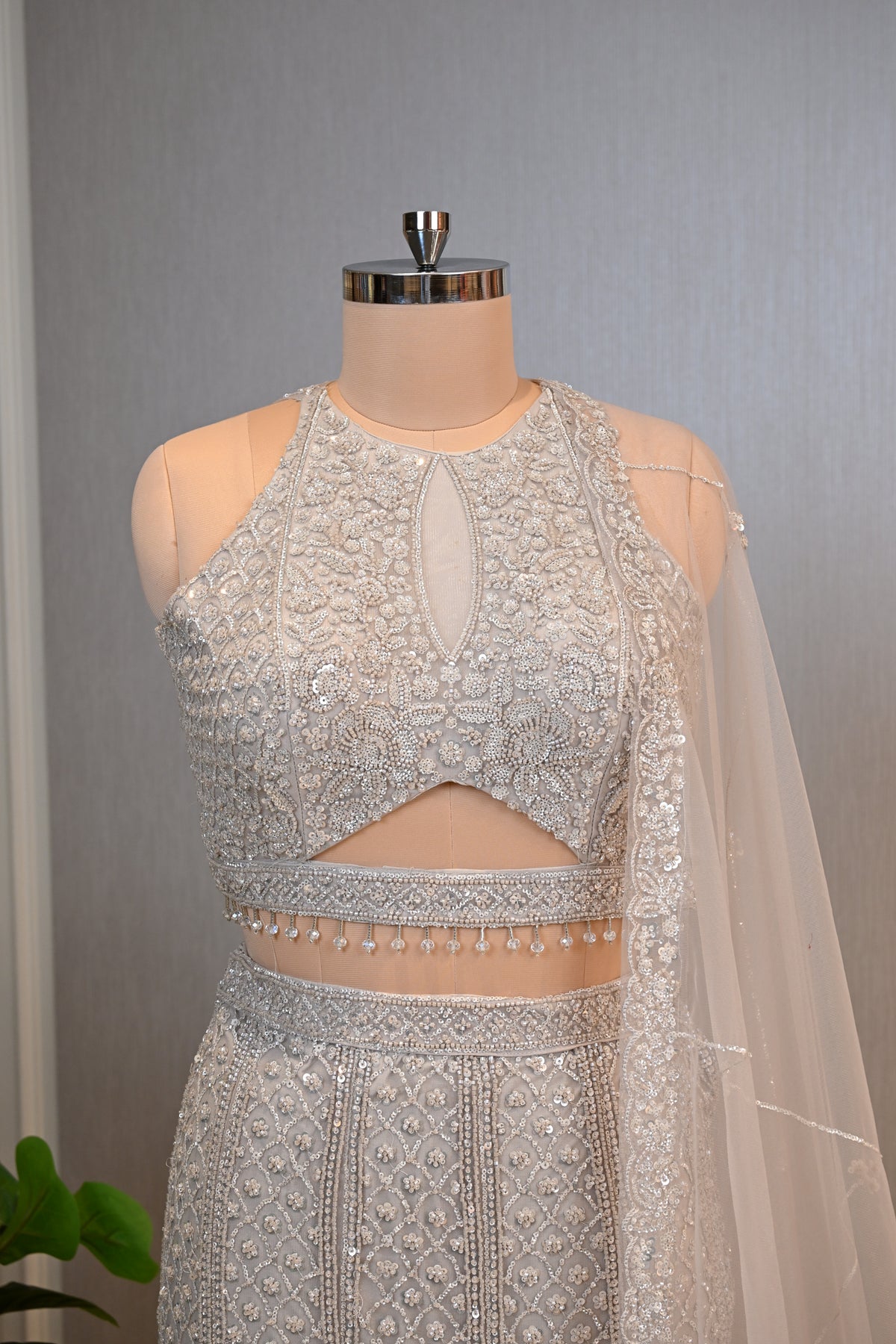 Embellished Fish-Cut Net Ensemble with Cut-Out Blouse