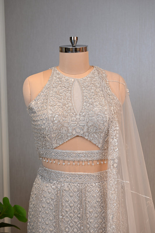Embellished Fish-Cut Net Ensemble with Cut-Out Blouse