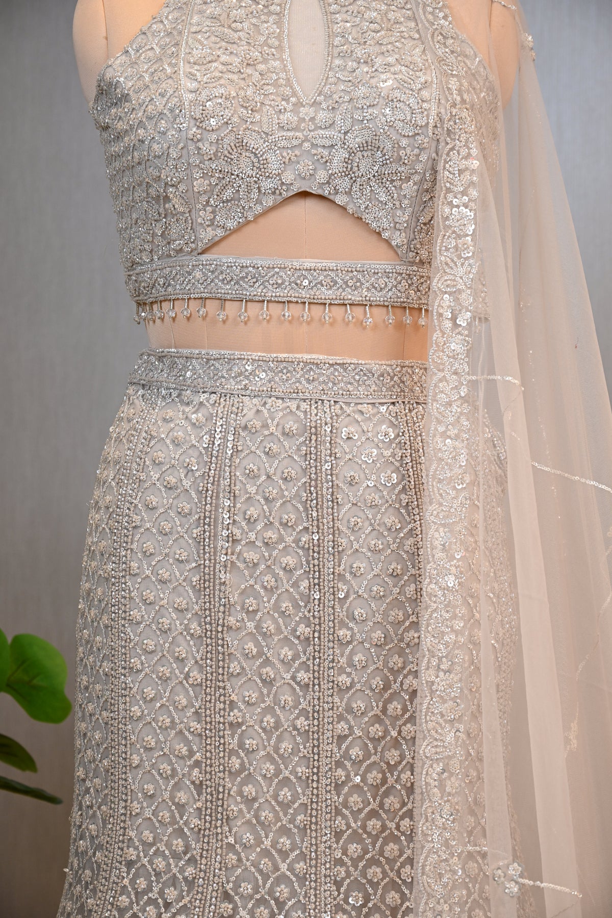 Embellished Fish-Cut Net Ensemble with Cut-Out Blouse