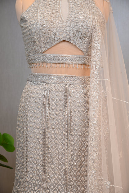 Embellished Fish-Cut Net Ensemble with Cut-Out Blouse