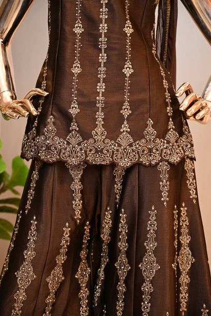 Dark Chocolate Brown Zari Embellished Corset Set