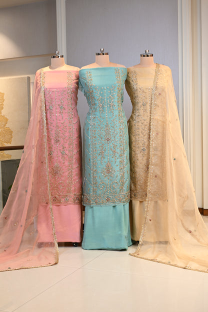 Elegant Organza Hand-Embroidered Suit Set