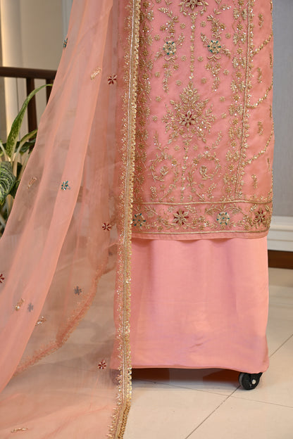 Elegant Organza Hand-Embroidered Suit Set