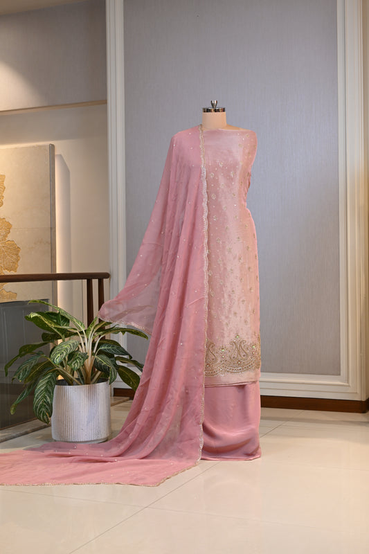 Shimmer Tissue Hand-Embroidered Suit Set