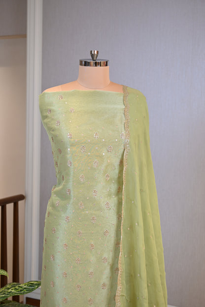 Shimmer Tissue Hand-Embroidered Suit Set