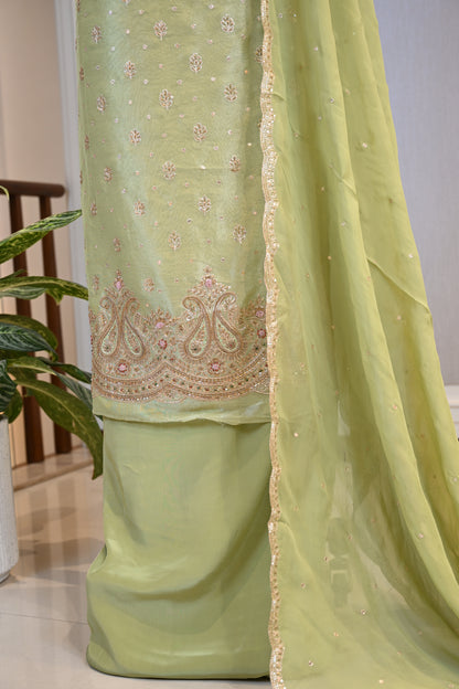 Shimmer Tissue Hand-Embroidered Suit Set