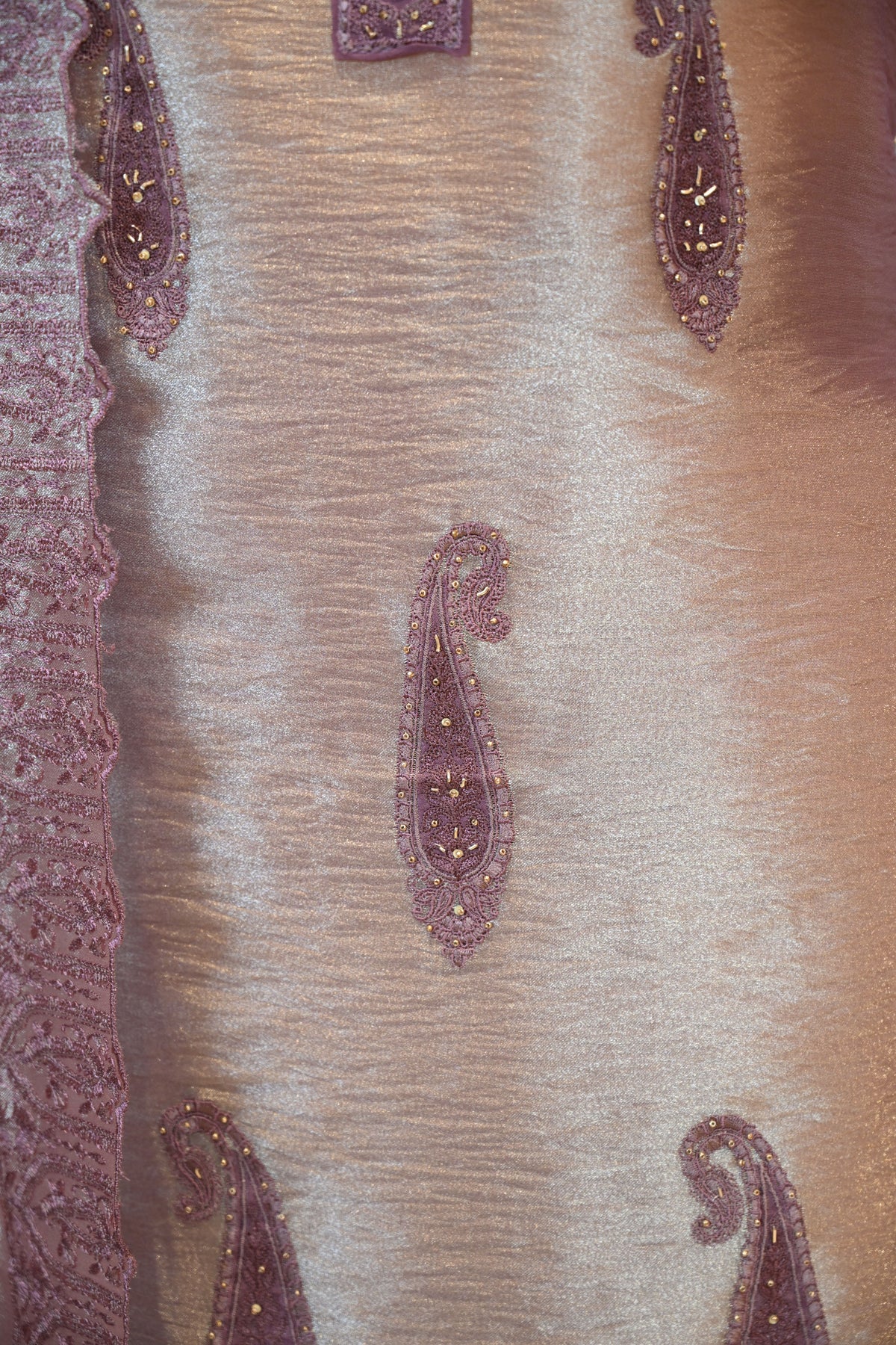 Elegant Tissue Silk Threadwork Suit Set