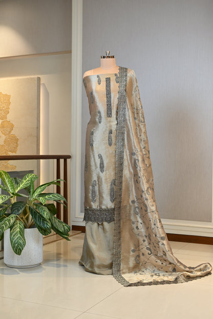 Elegant Tissue Silk Threadwork Suit Set