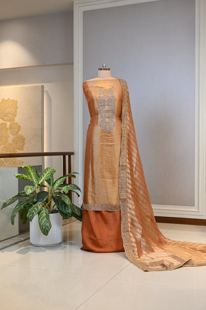 Self Tissue Shimmer Embroidered Suit Set