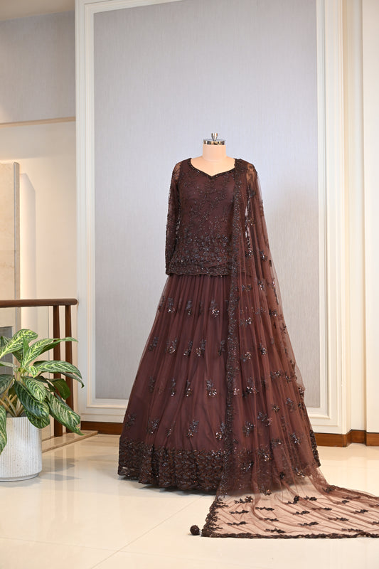 Elegant Brown Net Lehenga Choli with Tone-to-Tone Sequin Work