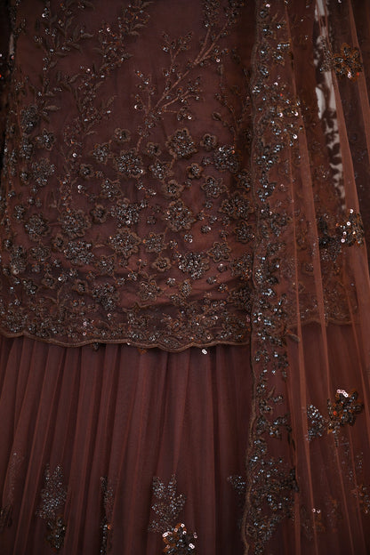 Elegant Brown Net Lehenga Choli with Tone-to-Tone Sequin Work