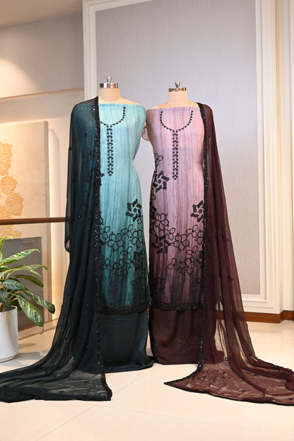 Elegant Organza Hand-Embroidered Suit Set