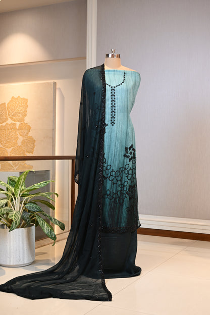 Elegant Organza Hand-Embroidered Suit Set