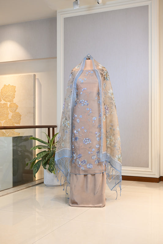 Elegant Organza Thread-Embroidered Suit Set