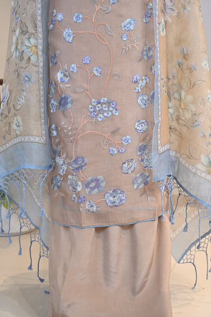 Elegant Organza Thread-Embroidered Suit Set