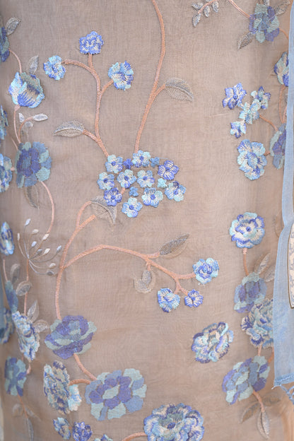 Elegant Organza Thread-Embroidered Suit Set