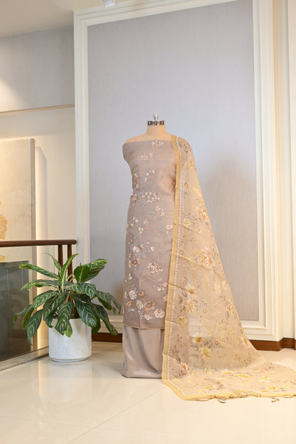 Elegant Organza Thread-Embroidered Suit Set