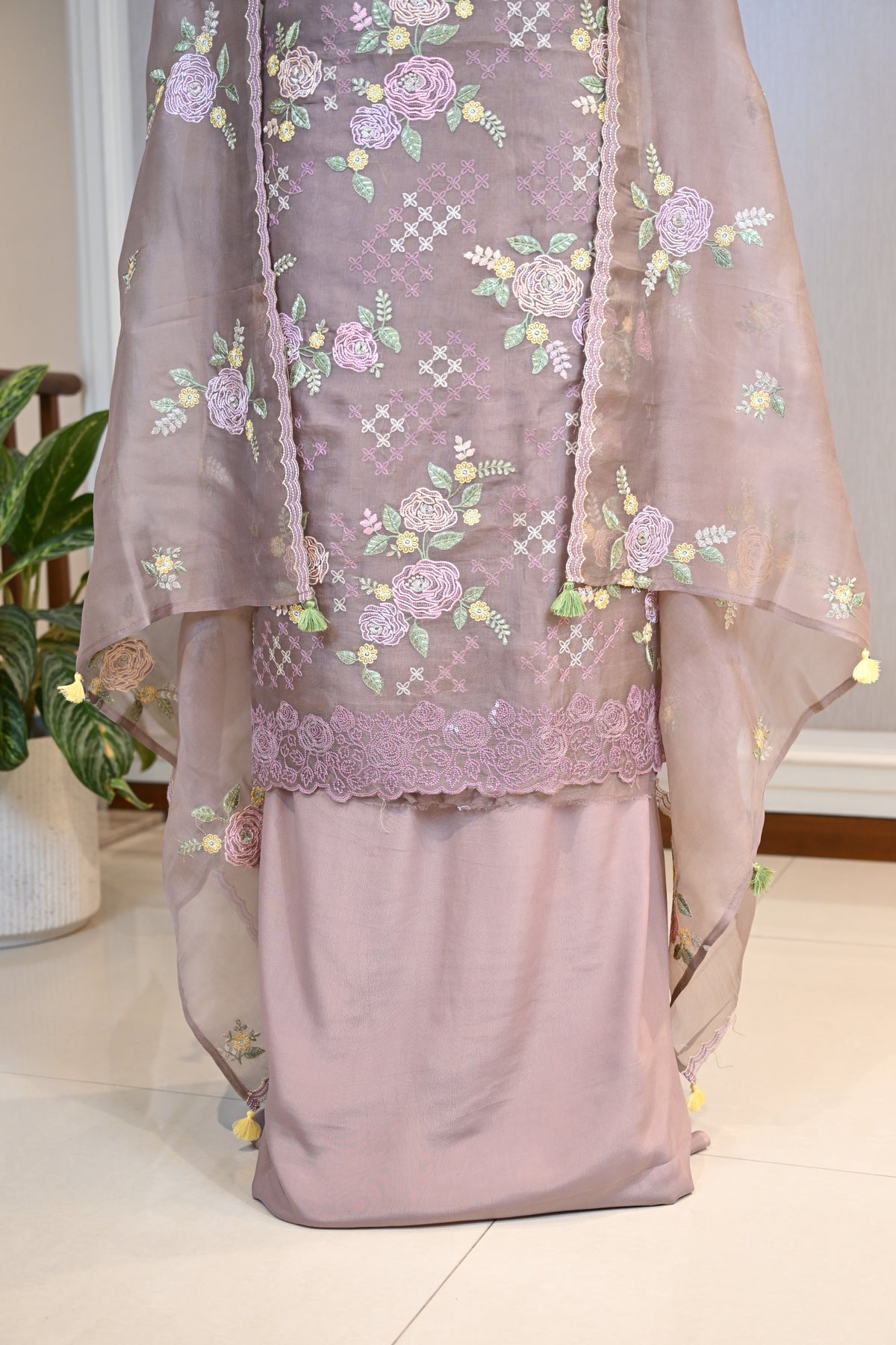 Elegant Organza Thread & Zari Suit Set