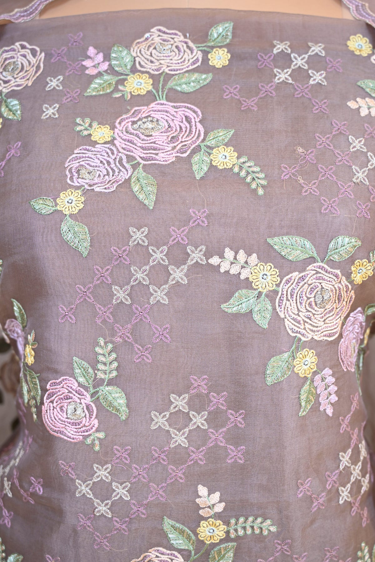 Elegant Organza Thread & Zari Suit Set