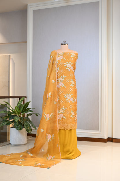 Elegant Organza Thread & Zari Suit Set