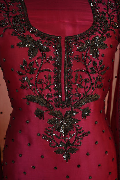 Elegant Organza Hand-Embroidered Suit Set