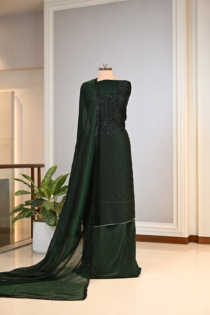 Elegant Organza Hand-Embroidered Suit Set