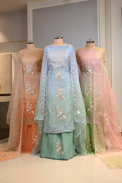 Elegant Organza Thread Work Suit Set