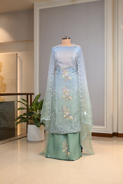 Elegant Organza Thread Work Suit Set