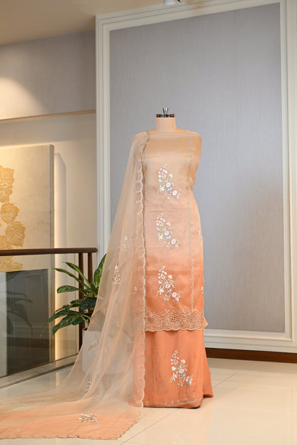 Elegant Organza Thread Work Suit Set