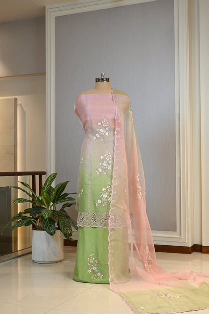 Elegant Organza Thread Work Suit Set