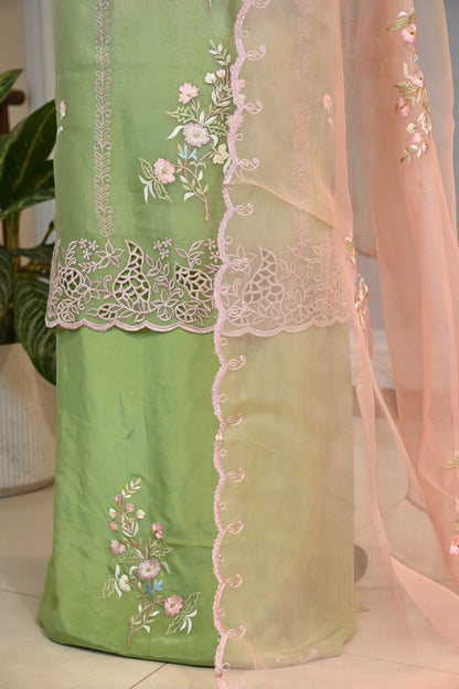 Elegant Organza Thread Work Suit Set