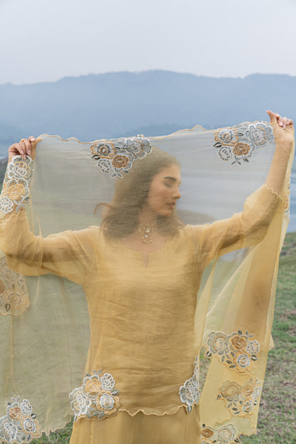 Elegant Organza Thread  Dori Work Unstitched Suit Set